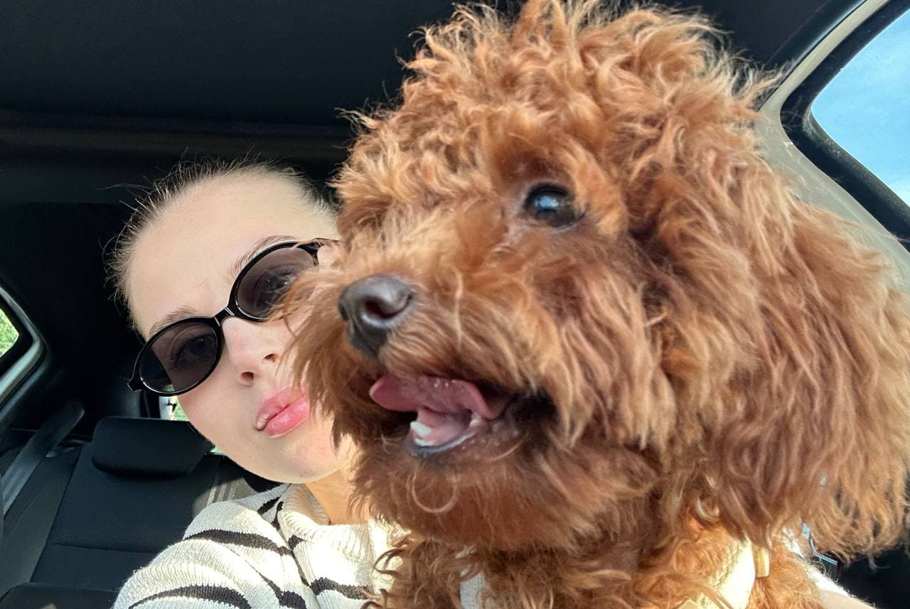 dog image 16